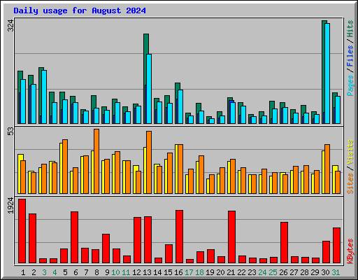 Daily usage for August 2024
