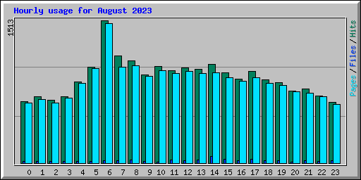 Hourly usage for August 2023