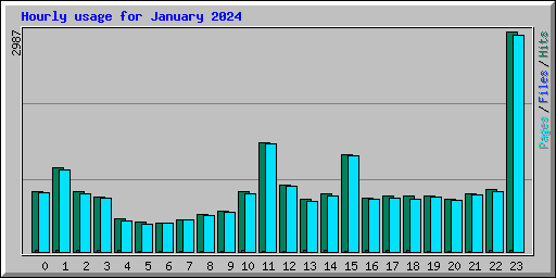 Hourly usage for January 2024
