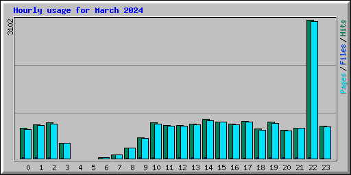 Hourly usage for March 2024
