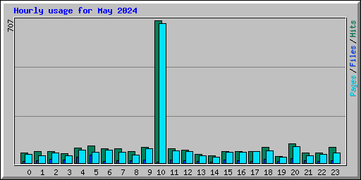 Hourly usage for May 2024
