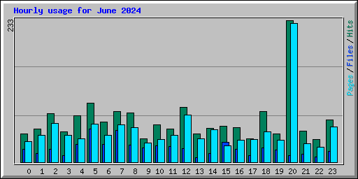 Hourly usage for June 2024