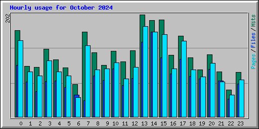 Hourly usage for October 2024