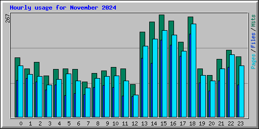 Hourly usage for November 2024