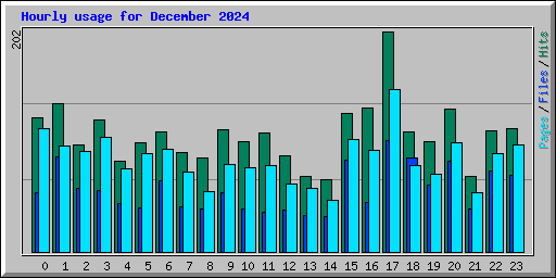 Hourly usage for December 2024