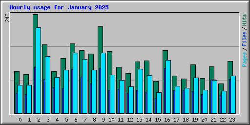 Hourly usage for January 2025