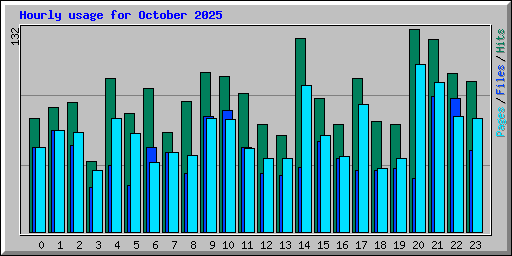 Hourly usage for October 2025