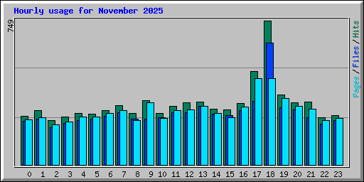 Hourly usage for November 2025