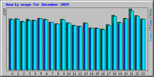 Hourly usage for December 2025