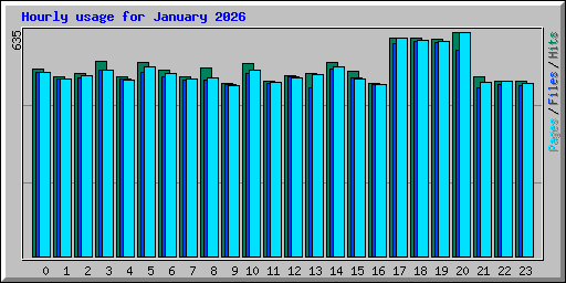 Hourly usage for January 2026