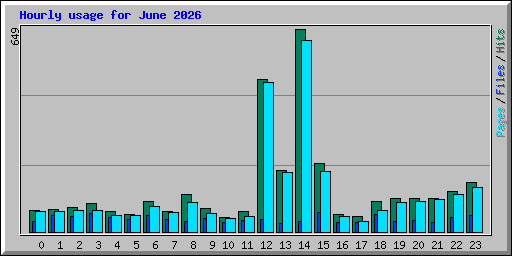 Hourly usage for June 2026